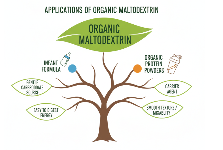 Applications de la maltodextrine organique