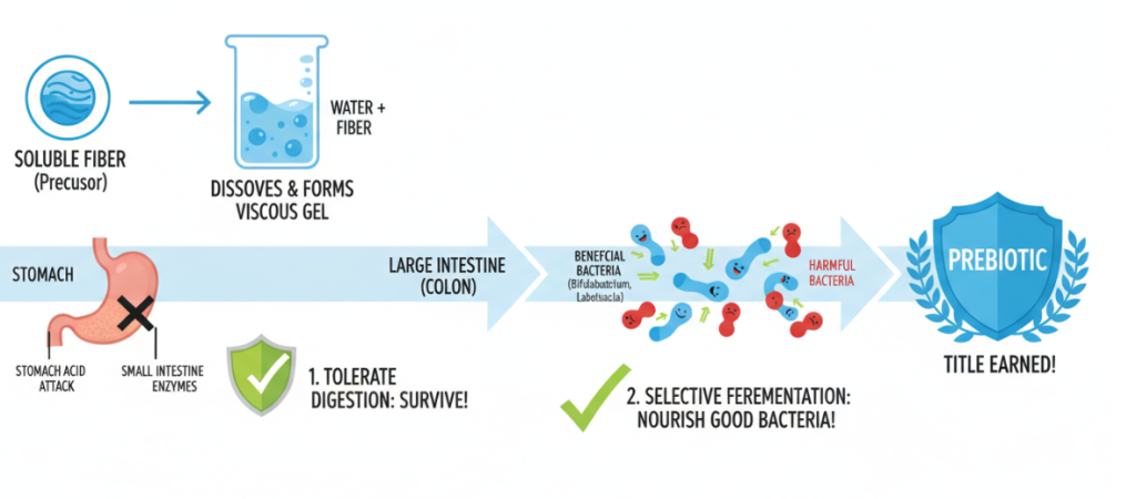 The benefits of soluble fiber