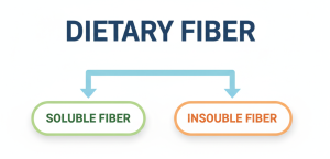 Quelle est la différence entre les fibres alimentaires et...