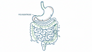 Erhöht Polydextrose den Blutzucker?