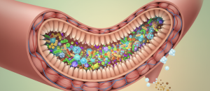 Dovrei assumere prebiotici o probiotici?